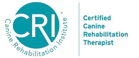 Canine Rehabilitation Practitioner (CCRP)